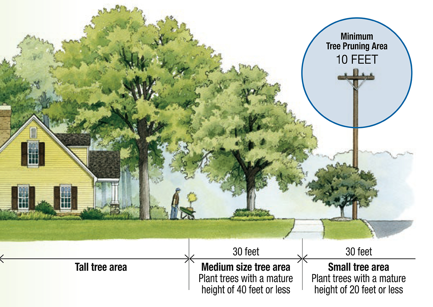 Planting Smart | Consumers Energy